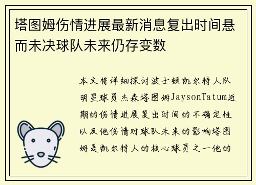 塔图姆伤情进展最新消息复出时间悬而未决球队未来仍存变数